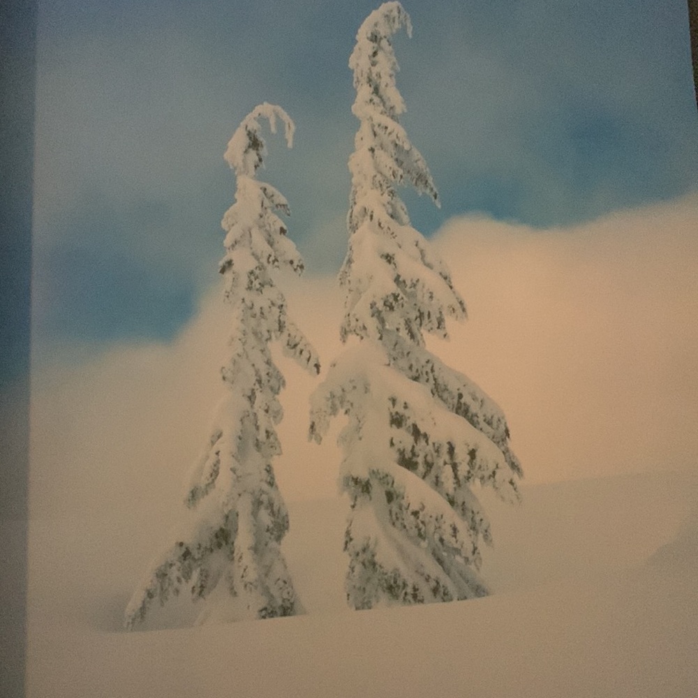 🌿Hardback Planet Earth Book 📚 🌎 - Picture 7 of 9